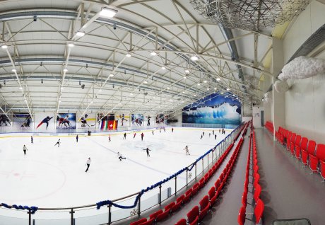 Organization of Figure Skating Camps. A.Ryabinin Academy